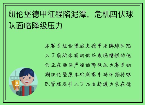 纽伦堡德甲征程陷泥潭，危机四伏球队面临降级压力
